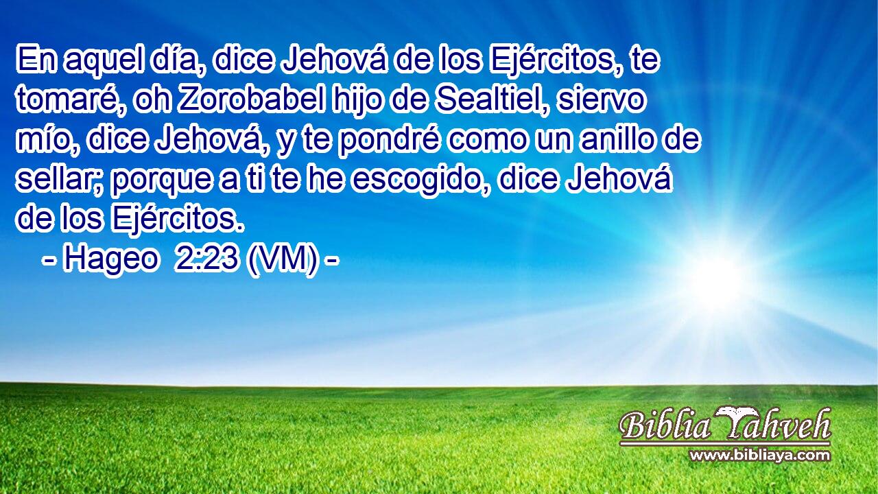  En aquel día, dice Jehová de los Ejércitos, te tomaré, oh Zorobabel hijo de Sealtiel, siervo mío, dice Jehová, y te pondré como un anillo de sellar; porque a ti te he escogido, dice Jehová de los Ejércitos. 