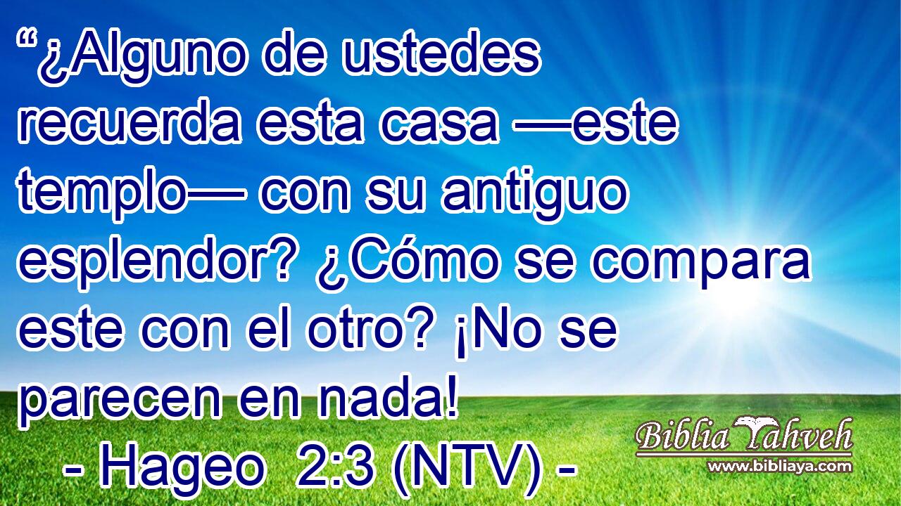 “¿Alguno de ustedes recuerda esta casa —este templo— con su antiguo esplendor? ¿Cómo se compara este con el otro? ¡No se parecen en nada!
