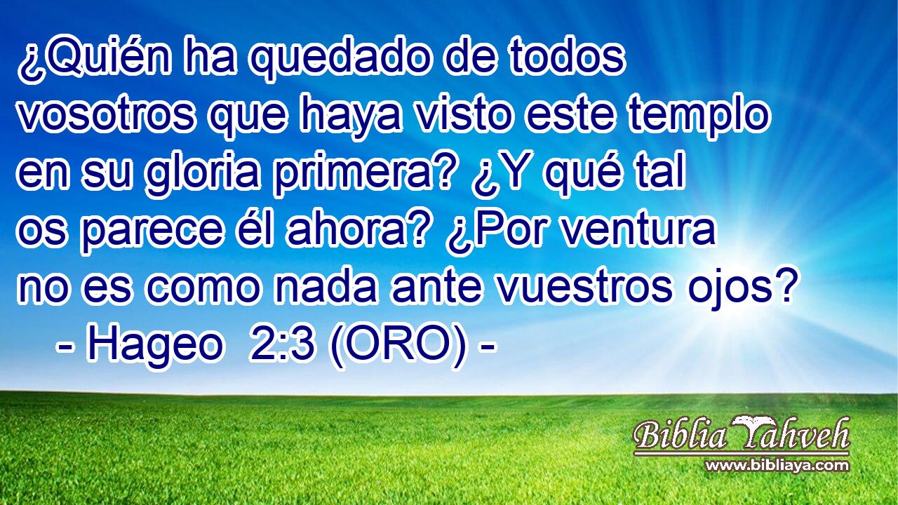  ¿Quién ha quedado de todos vosotros que haya visto este templo en su gloria primera? ¿Y qué tal os parece él ahora? ¿Por ventura no es como nada ante vuestros ojos? 