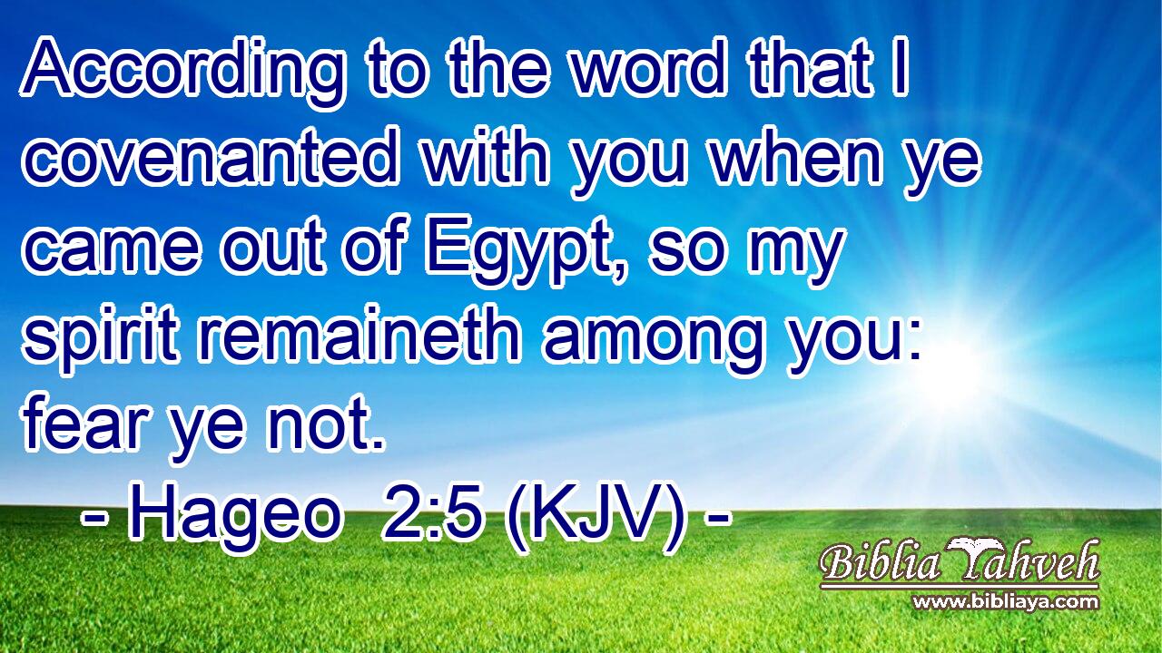 According to the word that I covenanted with you when ye came out of Egypt, so my spirit remaineth among you: fear ye not.