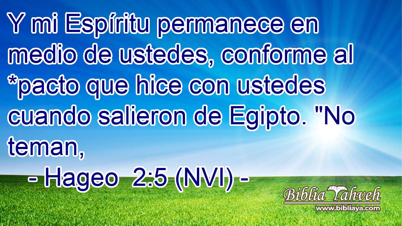  Y mi Espíritu permanece en medio de ustedes, conforme al *pacto que hice con ustedes cuando salieron de Egipto. 