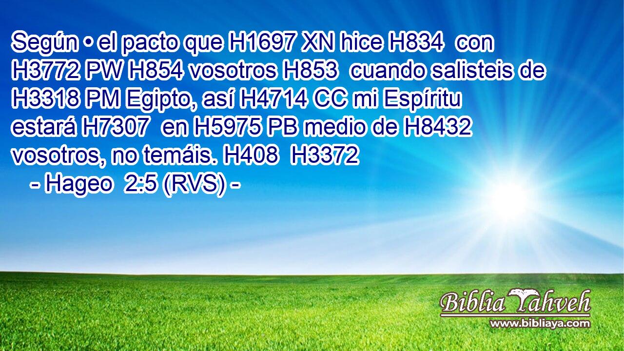 Según • el pacto que H1697 XN hice H834  con H3772 PW H854 vosotros H853  cuando salisteis de H3318 PM Egipto, así H4714 CC mi Espíritu estará H7307  en H5975 PB medio de H8432 vosotros, no temáis. H408  H3372 