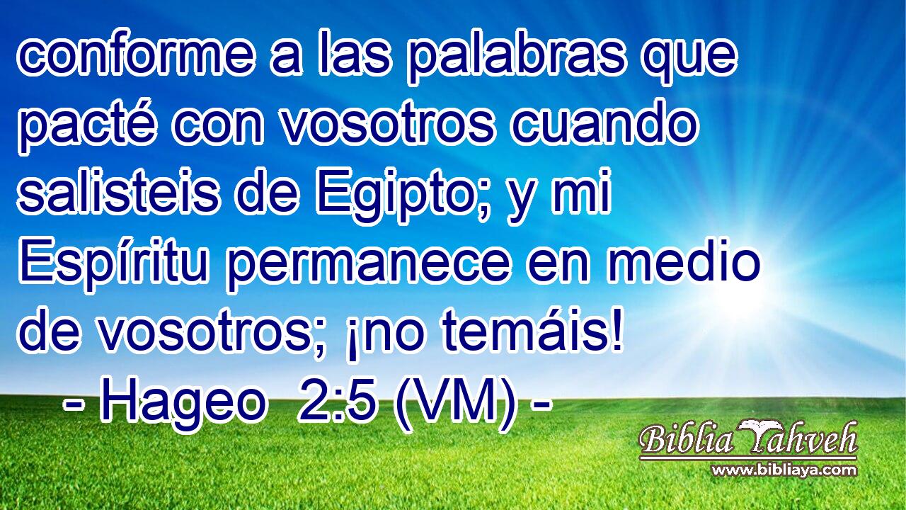  conforme a las palabras que pacté con vosotros cuando salisteis de Egipto; y mi Espíritu permanece en medio de vosotros; ¡no temáis! 