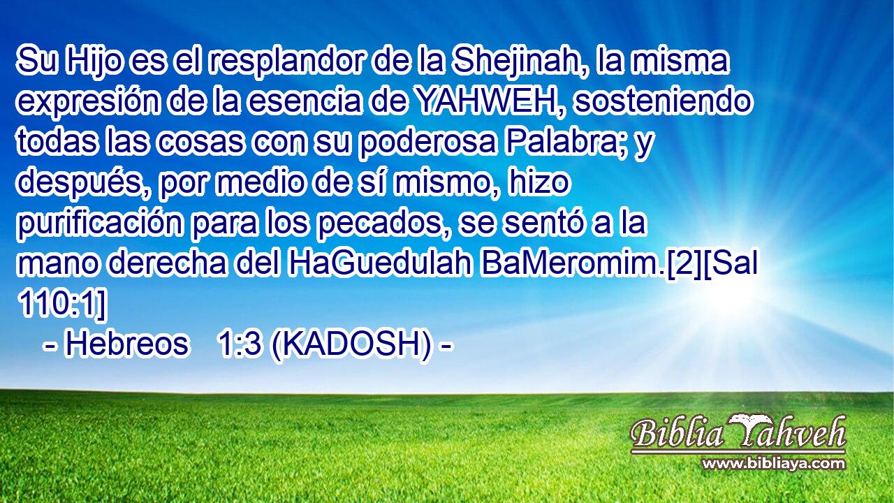  Su Hijo es el resplandor de la Shejinah, la misma expresión de la esencia de YAHWEH, sosteniendo todas las cosas con su poderosa Palabra; y después, por medio de sí mismo, hizo purificación para los pecados, se sentó a la mano derecha del HaGuedulah BaMeromim.[2][Sal 110:1] 