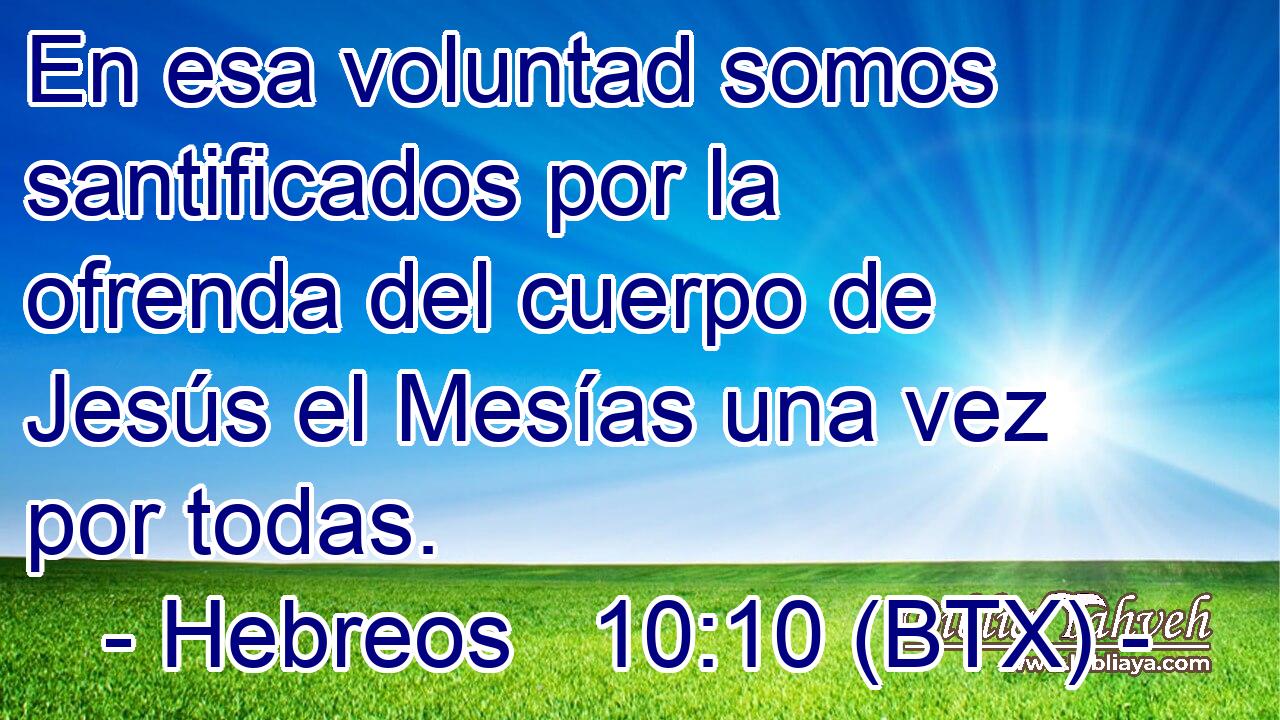En esa voluntad somos santificados por la ofrenda del cuerpo de Jesús el Mesías una vez por todas.