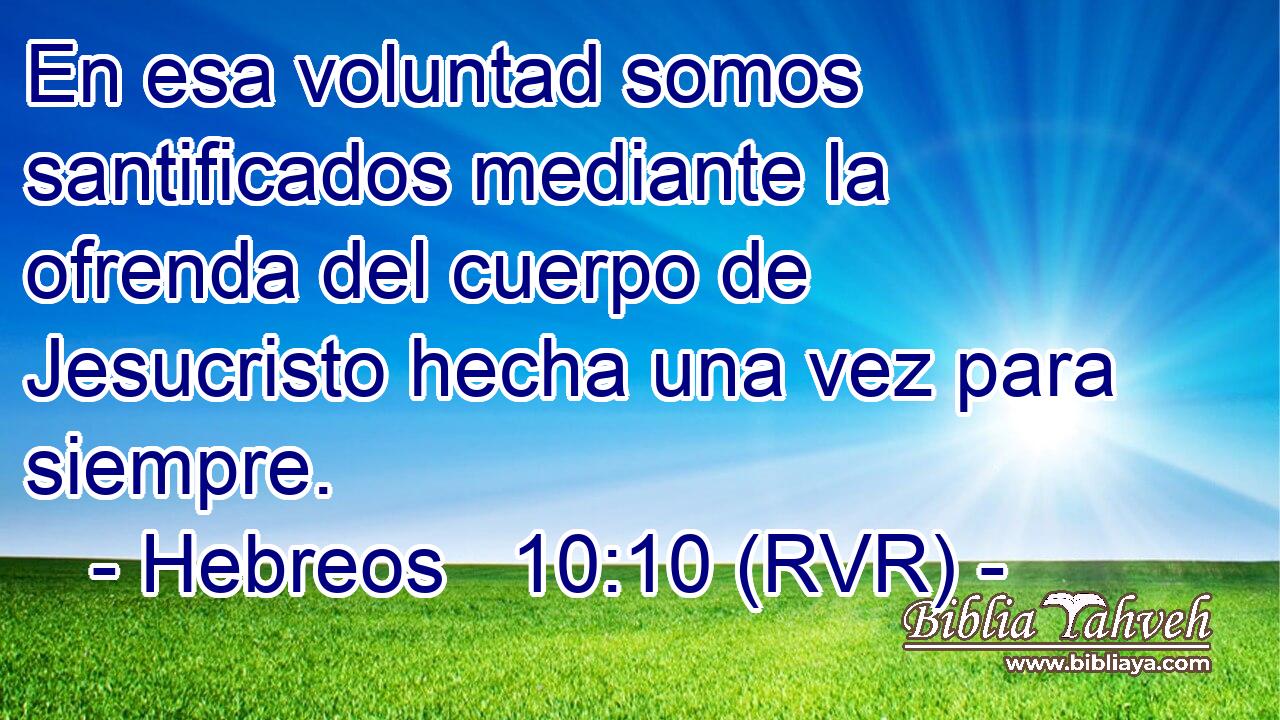En esa voluntad somos santificados mediante la ofrenda del cuerpo de Jesucristo hecha una vez para siempre.