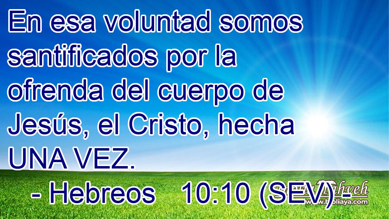 En esa voluntad somos santificados por la ofrenda del cuerpo de Jesús, el Cristo, hecha UNA VEZ.