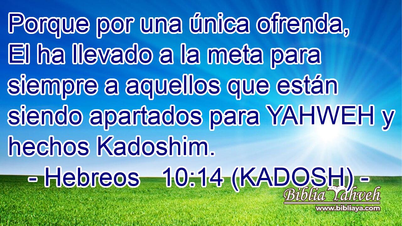  Porque por una única ofrenda, El ha llevado a la meta para siempre a aquellos que están siendo apartados para YAHWEH y hechos Kadoshim. 