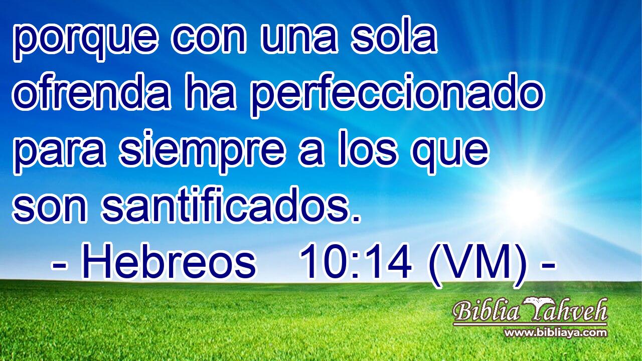  porque con una sola ofrenda ha perfeccionado para siempre a los que son santificados. 