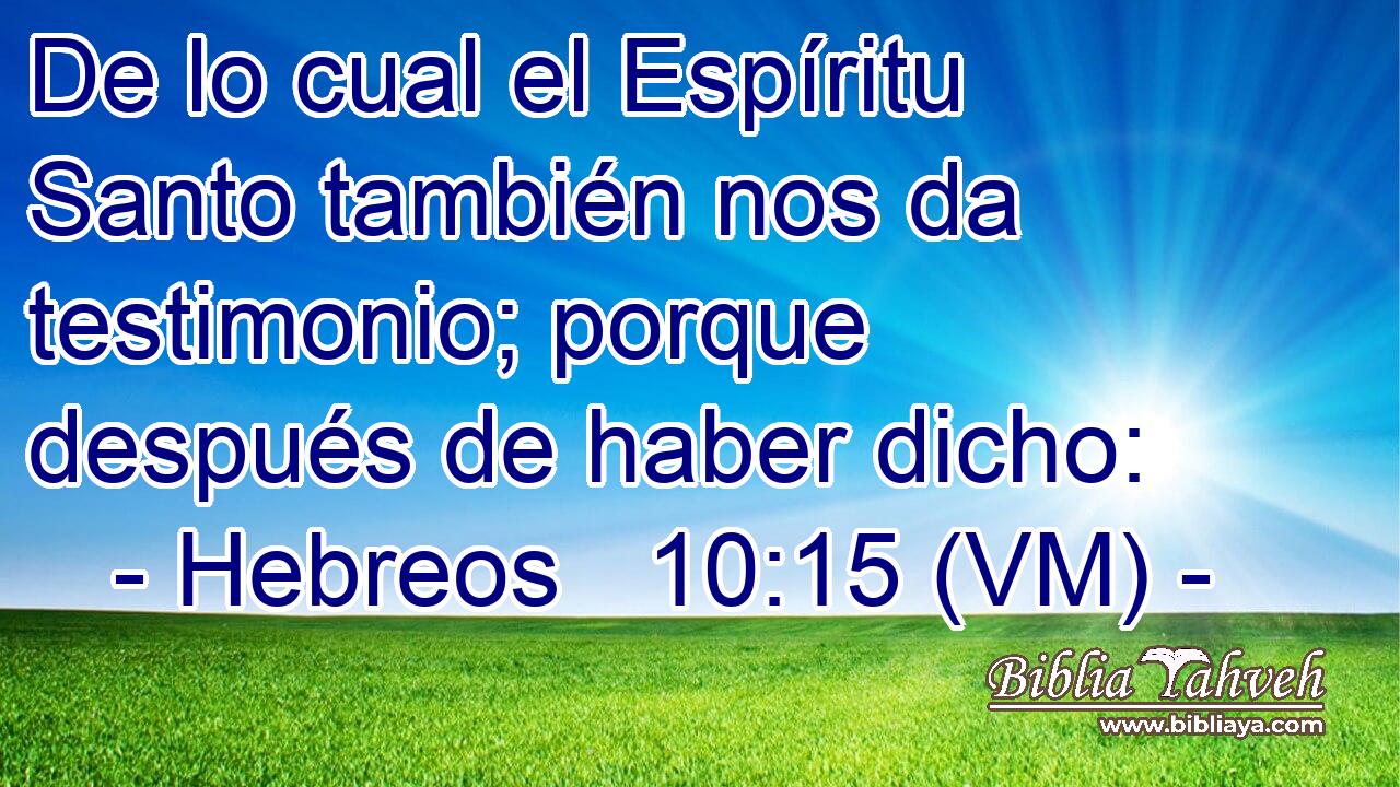  De lo cual el Espíritu Santo también nos da testimonio; porque después de haber dicho: 