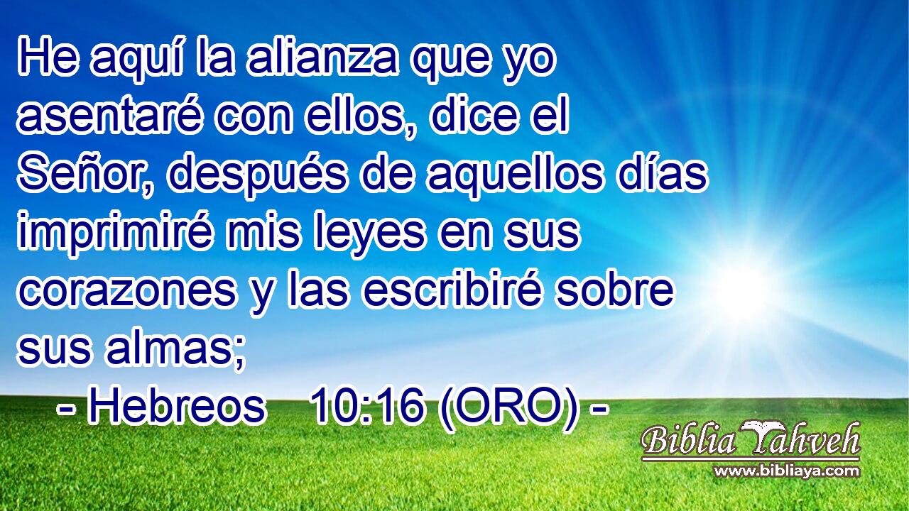  He aquí la alianza que yo asentaré con ellos, dice el Señor, después de aquellos días imprimiré mis leyes en sus corazones y las escribiré sobre sus almas; 