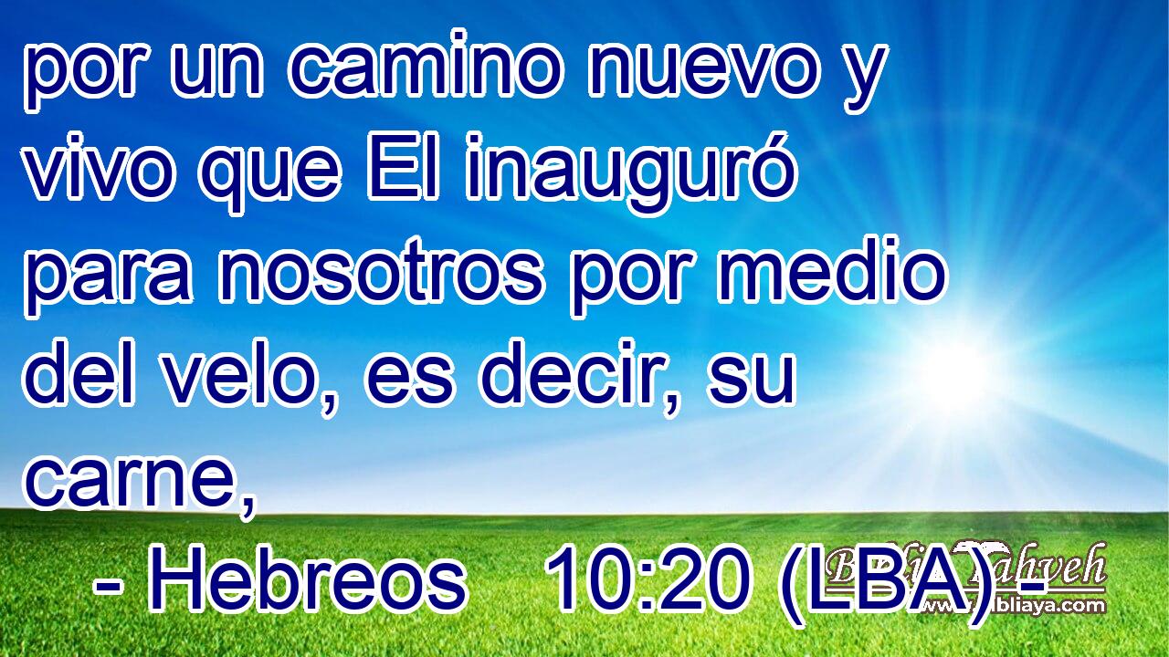 por un camino nuevo y vivo que El inauguró para nosotros por medio del velo, es decir, su carne,