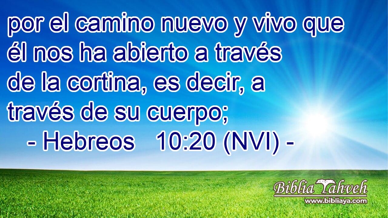  por el camino nuevo y vivo que él nos ha abierto a través de la cortina, es decir, a través de su cuerpo; 