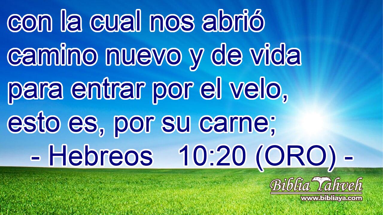  con la cual nos abrió camino nuevo y de vida para entrar por el velo, esto es, por su carne; 