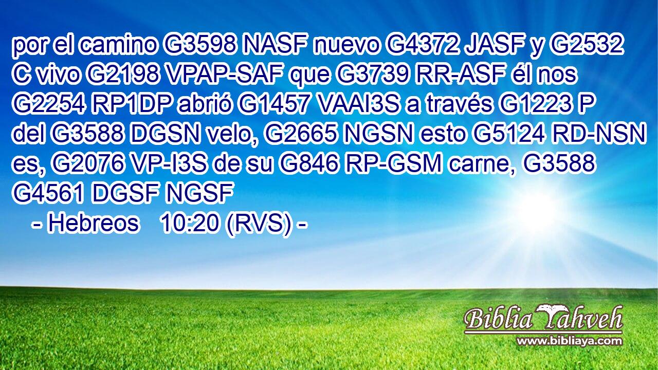 por el camino G3598 NASF nuevo G4372 JASF y G2532 C vivo G2198 VPAP-SAF que G3739 RR-ASF él nos G2254 RP1DP abrió G1457 VAAI3S a través G1223 P del G3588 DGSN velo, G2665 NGSN esto G5124 RD-NSN es, G2076 VP-I3S de su G846 RP-GSM carne, G3588 G4561 DGSF NGSF 