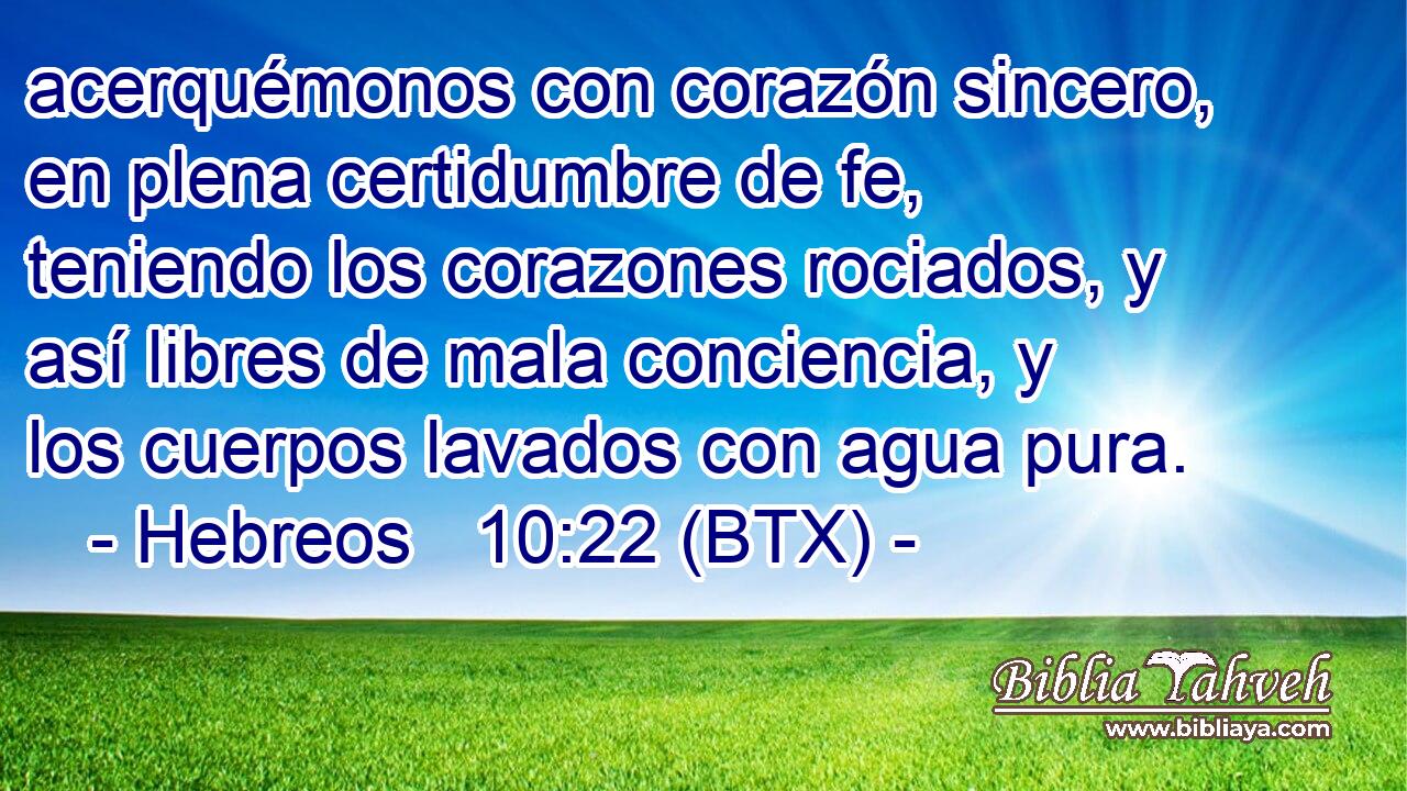 acerquémonos con corazón sincero, en plena certidumbre de fe, teniendo los corazones rociados, y así libres de mala conciencia, y los cuerpos lavados con agua pura.