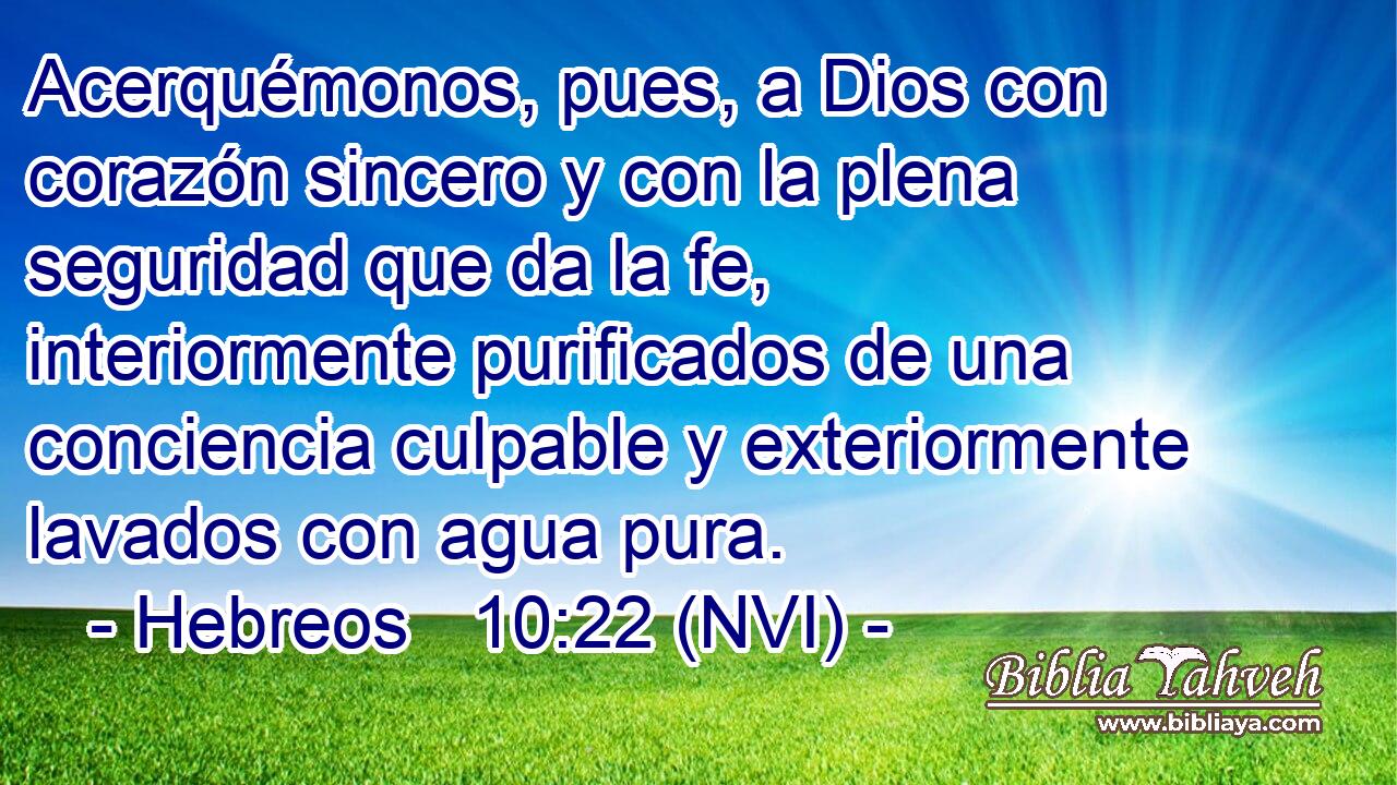  Acerquémonos, pues, a Dios con corazón sincero y con la plena seguridad que da la fe, interiormente purificados de una conciencia culpable y exteriormente lavados con agua pura. 