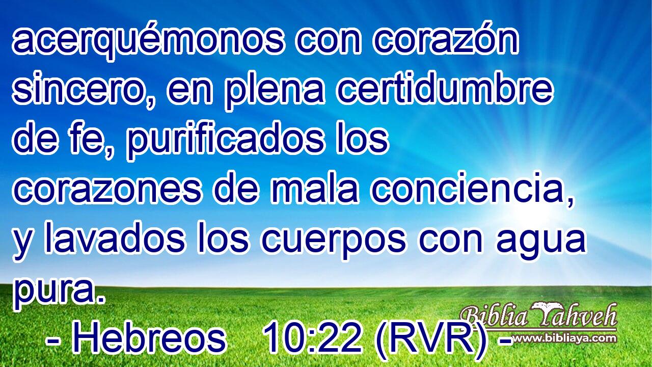 acerquémonos con corazón sincero, en plena certidumbre de fe, purificados los corazones de mala conciencia, y lavados los cuerpos con agua pura.