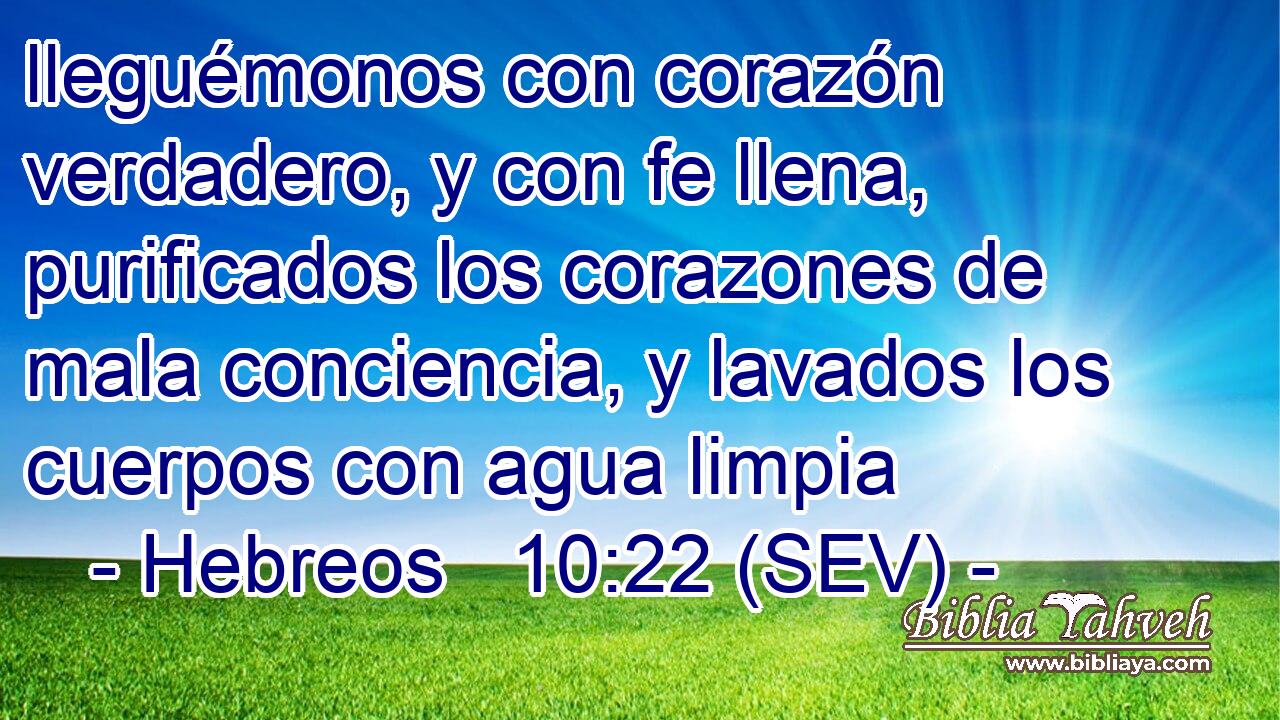 lleguémonos con corazón verdadero, y con fe llena, purificados los corazones de mala conciencia, y lavados los cuerpos con agua limpia