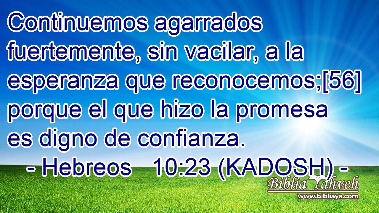  Continuemos agarrados fuertemente, sin vacilar, a la esperanza que reconocemos;[56] porque el que hizo la promesa es digno de confianza. 
