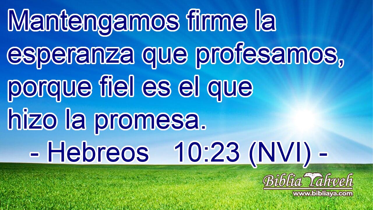  Mantengamos firme la esperanza que profesamos, porque fiel es el que hizo la promesa. 