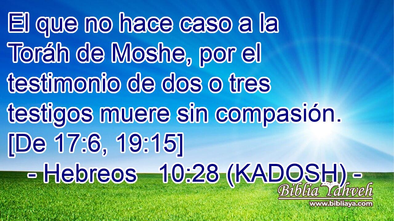  El que no hace caso a la Toráh de Moshe, por el testimonio de dos o tres testigos muere sin compasión. [De 17:6, 19:15] 