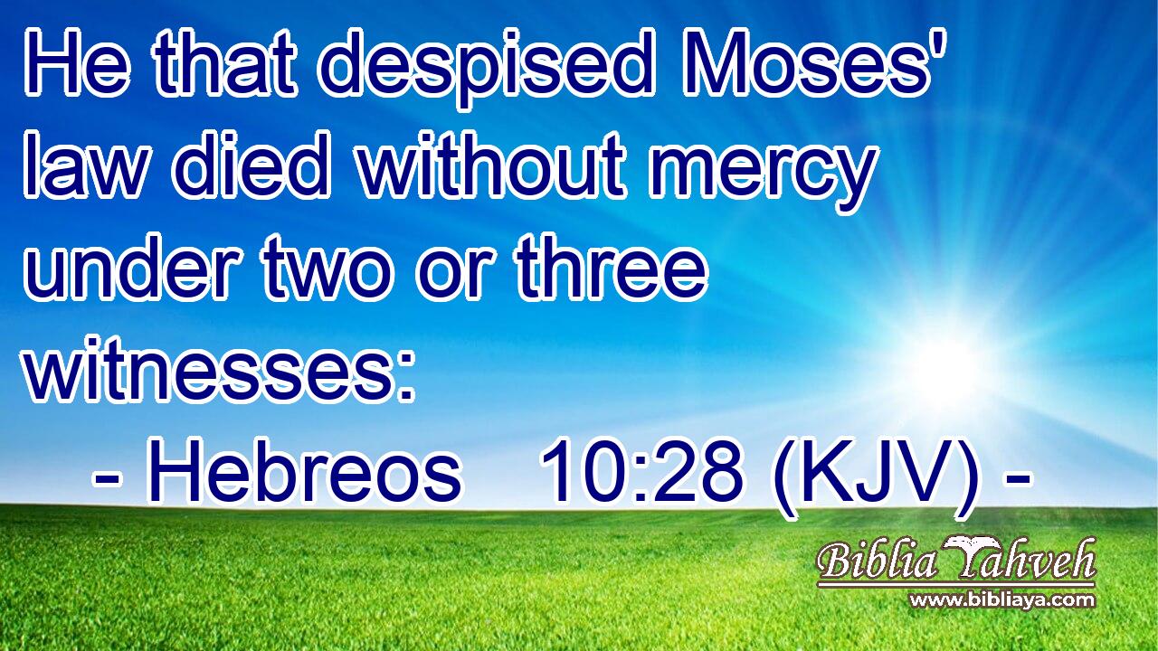 He that despised Moses' law died without mercy under two or three witnesses: