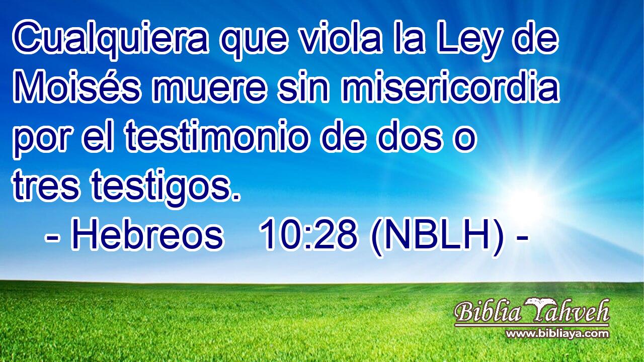  Cualquiera que viola la Ley de Moisés muere sin misericordia por el testimonio de dos o tres testigos. 
