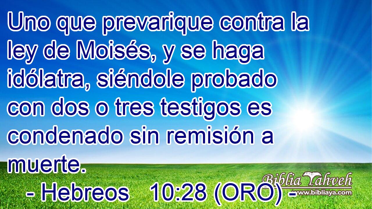  Uno que prevarique contra la ley de Moisés, y se haga idólatra, siéndole probado con dos o tres testigos es condenado sin remisión a muerte. 