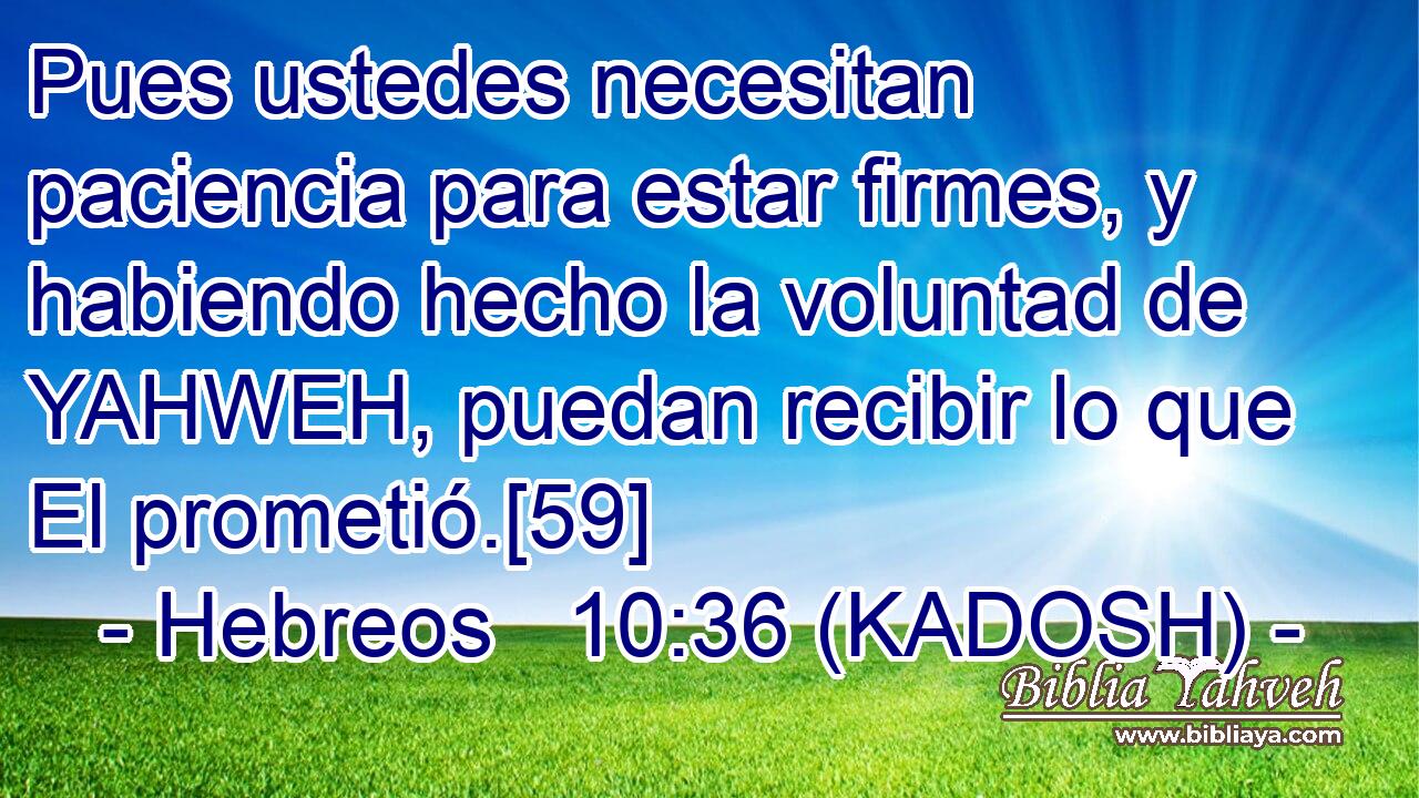  Pues ustedes necesitan paciencia para estar firmes, y habiendo hecho la voluntad de YAHWEH, puedan recibir lo que El prometió.[59] 