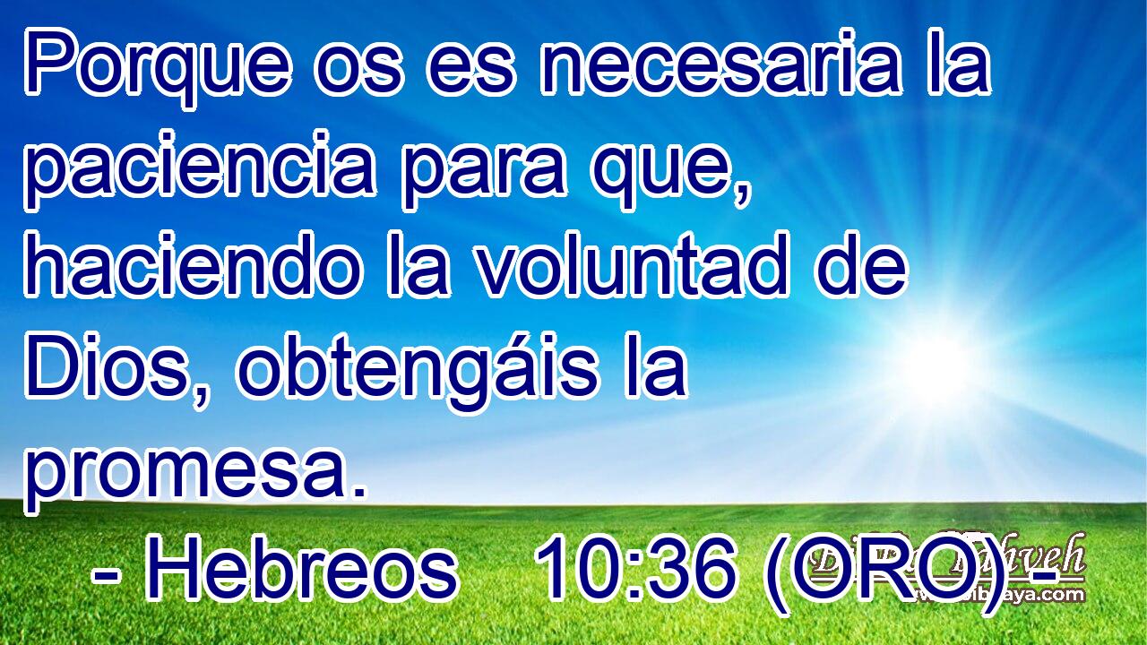  Porque os es necesaria la paciencia para que, haciendo la voluntad de Dios, obtengáis la promesa. 
