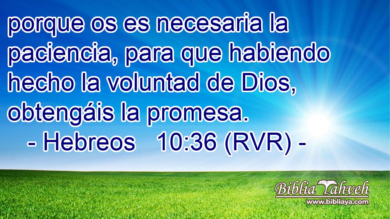 porque os es necesaria la paciencia, para que habiendo hecho la voluntad de Dios, obtengáis la promesa.