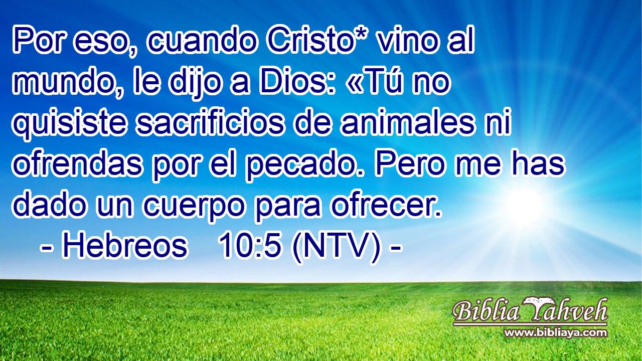 Por eso, cuando Cristo* vino al mundo, le dijo a Dios: «Tú no quisiste sacrificios de animales ni ofrendas por el pecado. Pero me has dado un cuerpo para ofrecer.