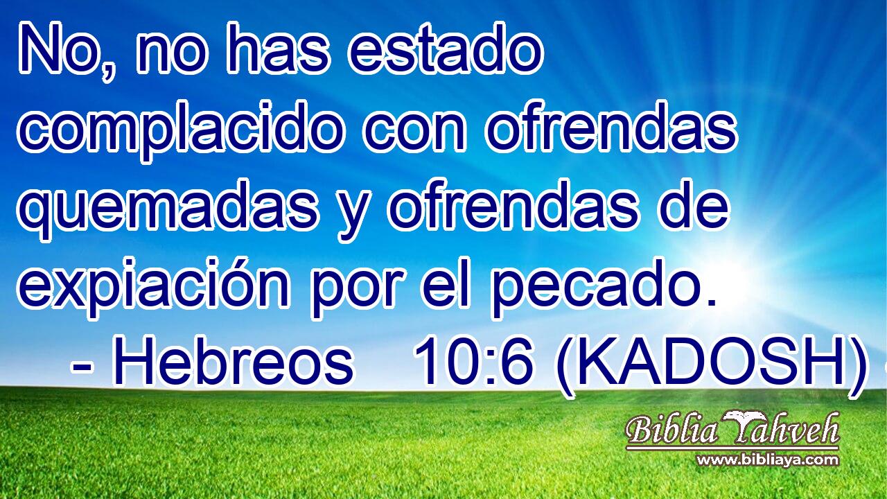  No, no has estado complacido con ofrendas quemadas y ofrendas de expiación por el pecado. 