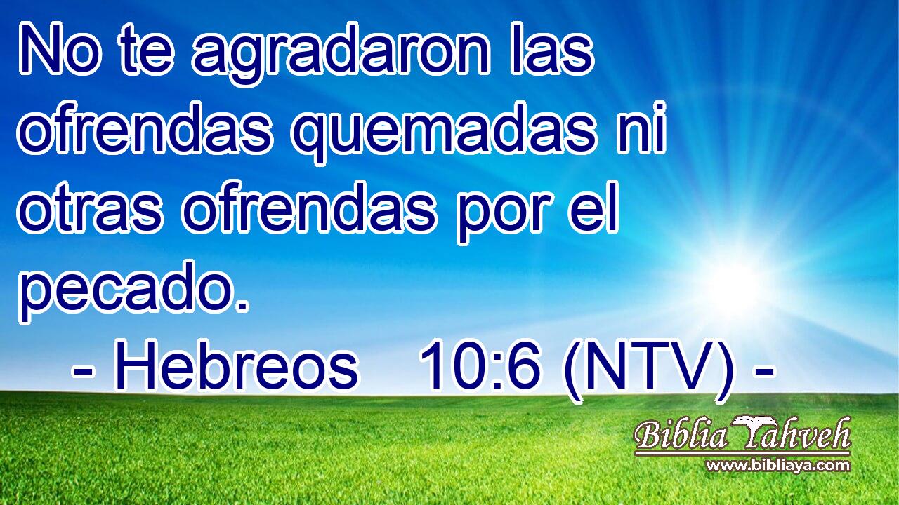 No te agradaron las ofrendas quemadas ni otras ofrendas por el pecado.