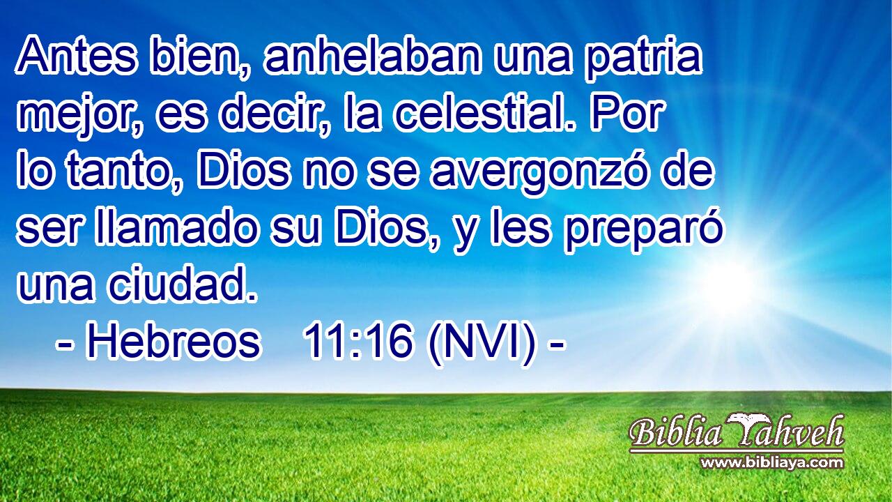  Antes bien, anhelaban una patria mejor, es decir, la celestial. Por lo tanto, Dios no se avergonzó de ser llamado su Dios, y les preparó una ciudad. 
