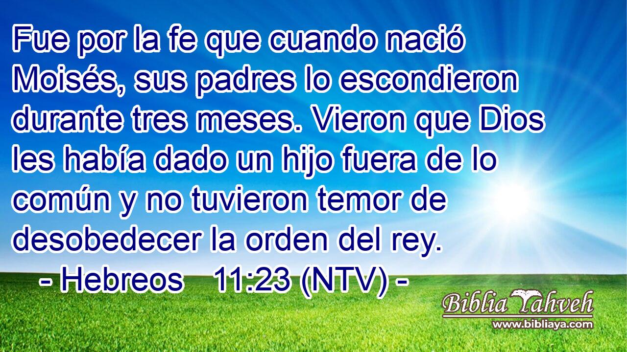 Fue por la fe que cuando nació Moisés, sus padres lo escondieron durante tres meses. Vieron que Dios les había dado un hijo fuera de lo común y no tuvieron temor de desobedecer la orden del rey.