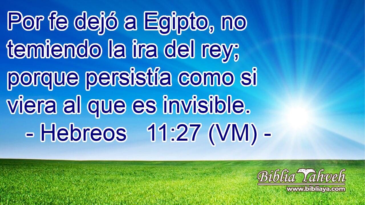 Por fe dejó a Egipto, no temiendo la ira del rey; porque persistía como si viera al que es invisible. 