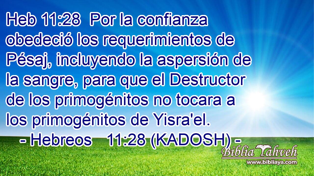  Por la confianza obedeció los requerimientos de Pésaj, incluyendo la aspersión de la sangre, para que el Destructor de los primogénitos no tocara a los primogénitos de Yisra'el. 