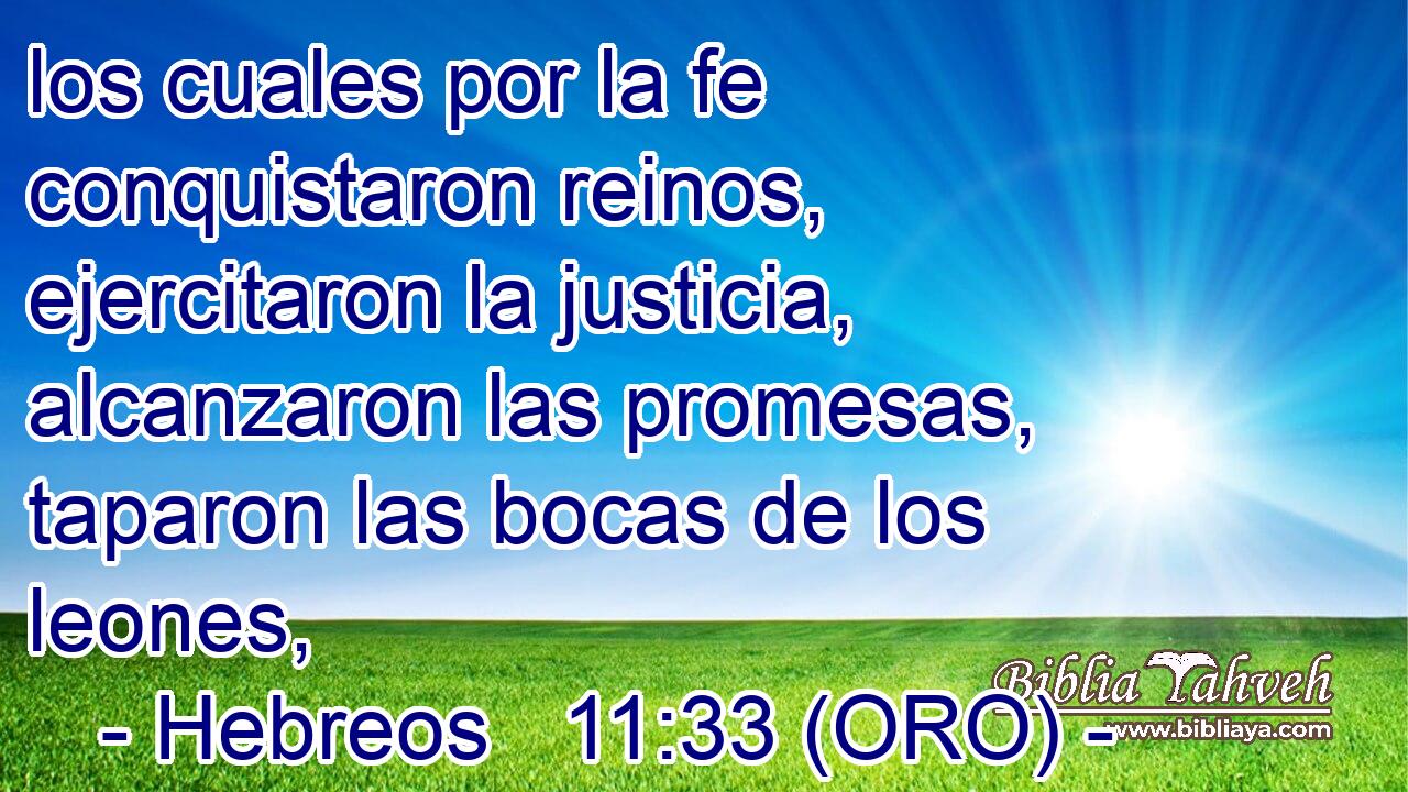  los cuales por la fe conquistaron reinos, ejercitaron la justicia, alcanzaron las promesas, taparon las bocas de los leones, 