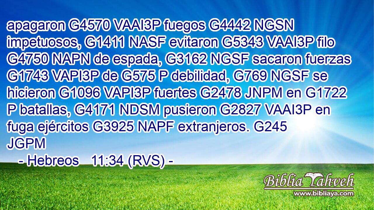 apagaron G4570 VAAI3P fuegos G4442 NGSN impetuosos, G1411 NASF evitaron G5343 VAAI3P filo G4750 NAPN de espada, G3162 NGSF sacaron fuerzas G1743 VAPI3P de G575 P debilidad, G769 NGSF se hicieron G1096 VAPI3P fuertes G2478 JNPM en G1722 P batallas, G4171 NDSM pusieron G2827 VAAI3P en fuga ejércitos G3925 NAPF extranjeros. G245 JGPM 