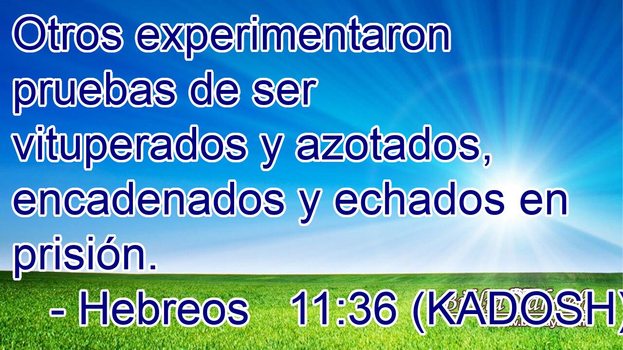  Otros experimentaron pruebas de ser vituperados y azotados, encadenados y echados en prisión. 