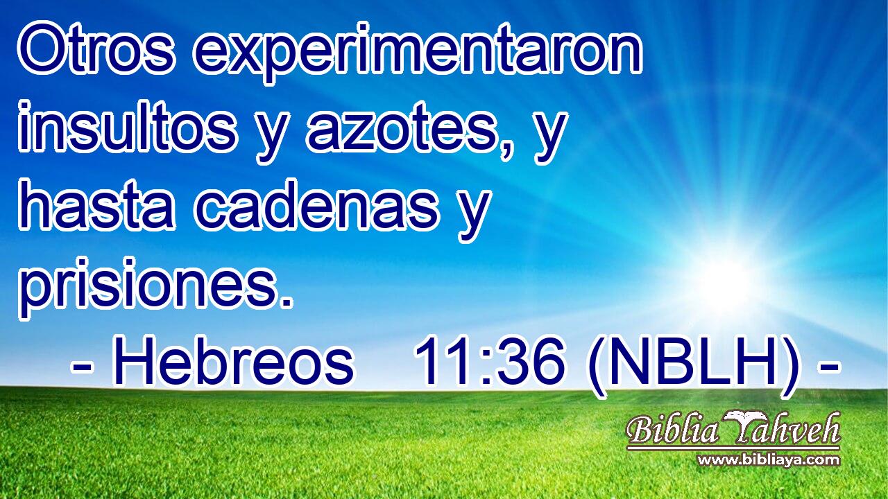  Otros experimentaron insultos y azotes, y hasta cadenas y prisiones. 