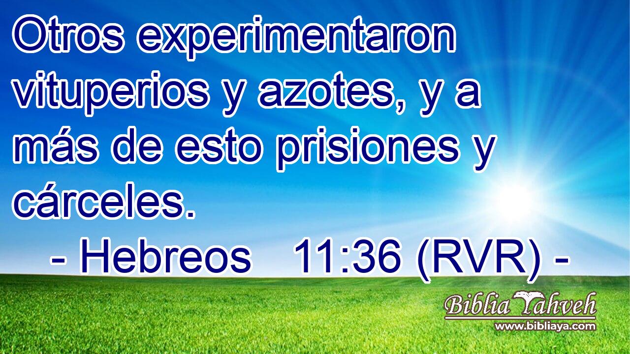 Otros experimentaron vituperios y azotes, y a más de esto prisiones y cárceles.