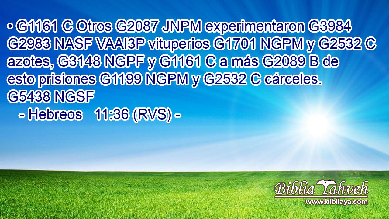 • G1161 C Otros G2087 JNPM experimentaron G3984 G2983 NASF VAAI3P vituperios G1701 NGPM y G2532 C azotes, G3148 NGPF y G1161 C a más G2089 B de esto prisiones G1199 NGPM y G2532 C cárceles. G5438 NGSF 