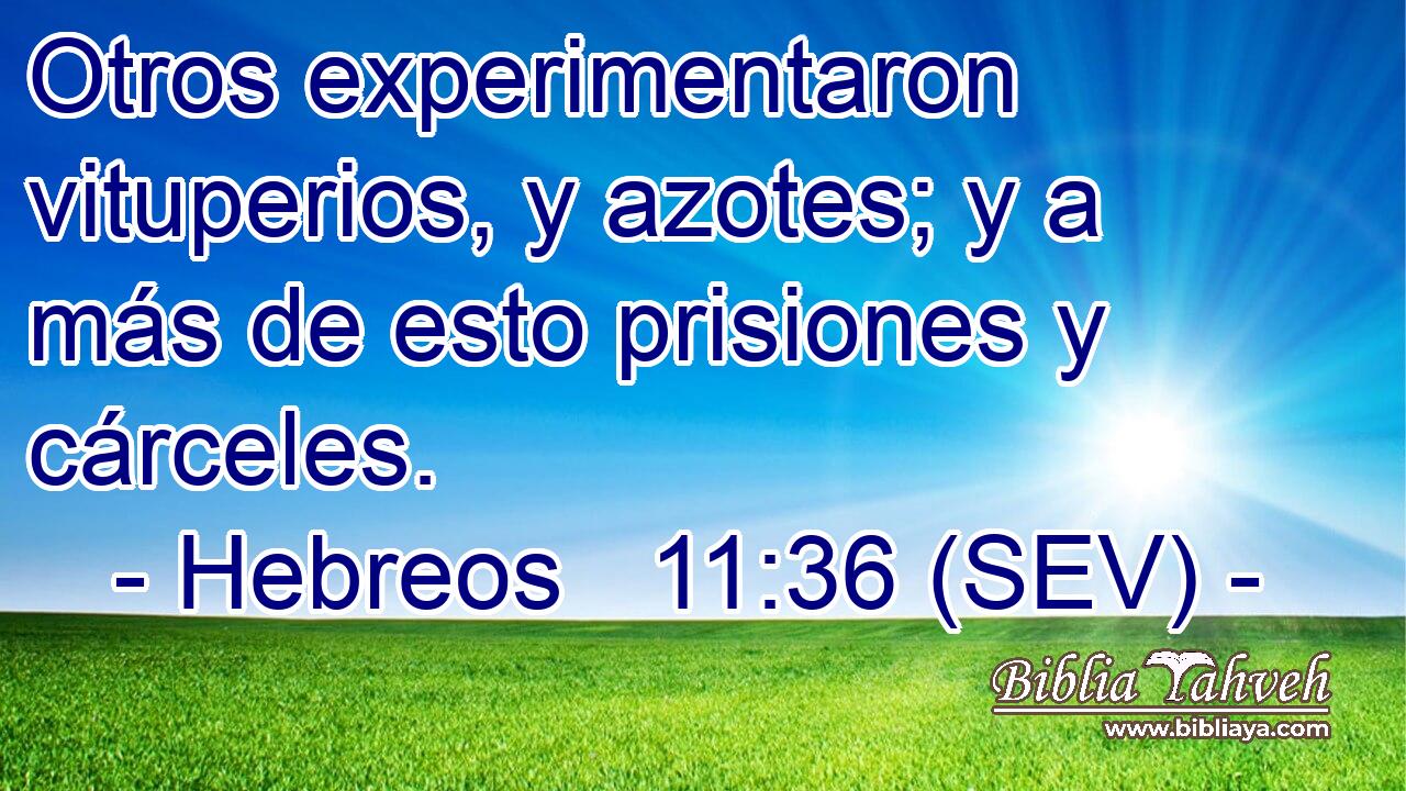 Otros experimentaron vituperios, y azotes; y a más de esto prisiones y cárceles.