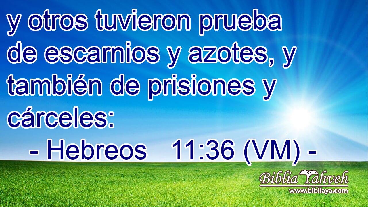  y otros tuvieron prueba de escarnios y azotes, y también de prisiones y cárceles: 
