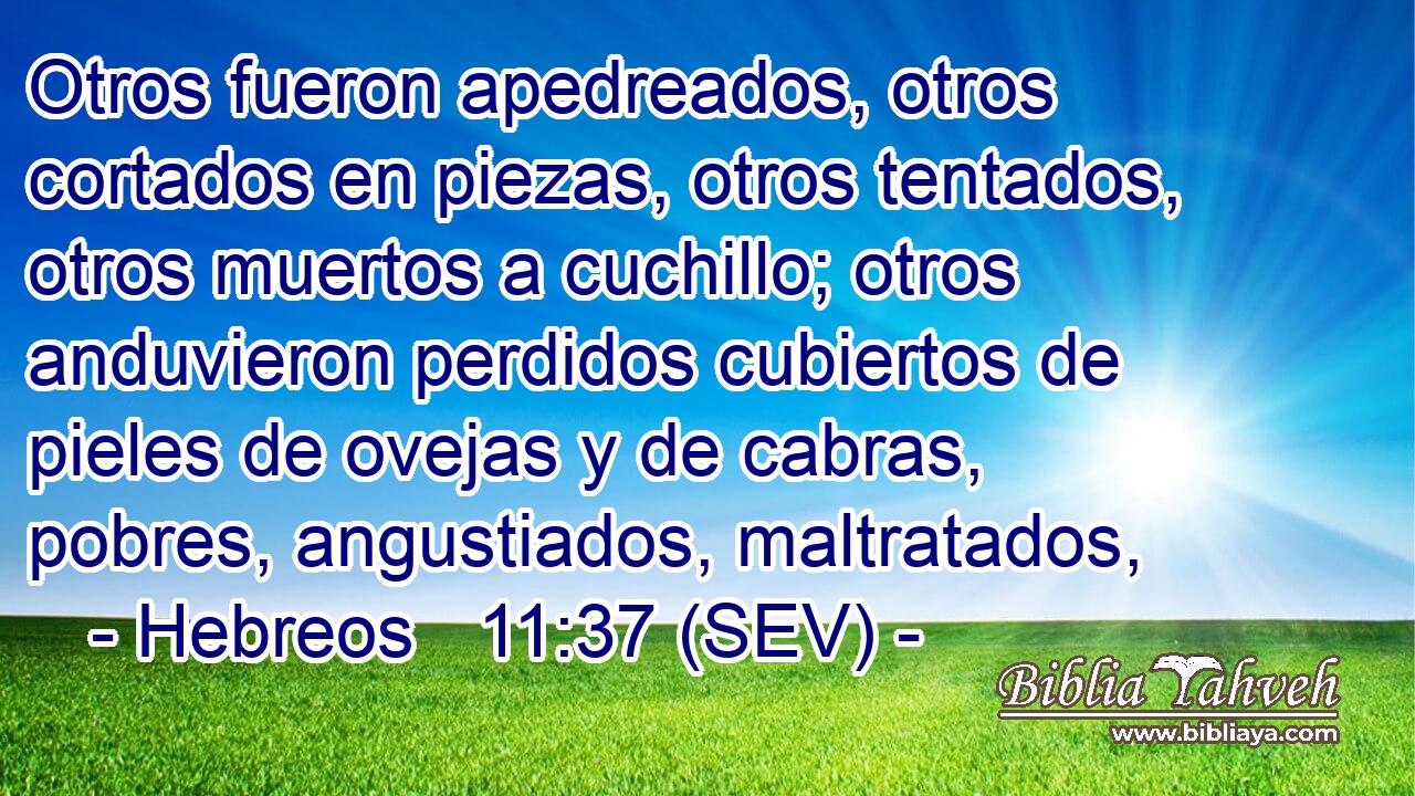 Otros fueron apedreados, otros cortados en piezas, otros tentados, otros muertos a cuchillo; otros anduvieron perdidos cubiertos de pieles de ovejas y de cabras, pobres, angustiados, maltratados,