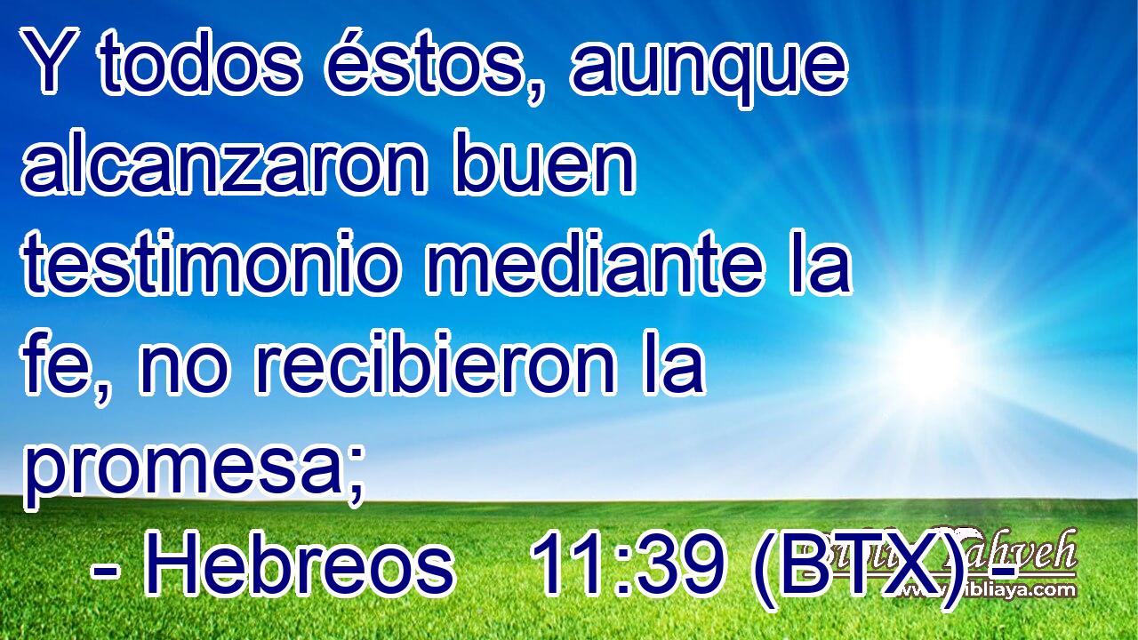 Y todos éstos, aunque alcanzaron buen testimonio mediante la fe, no recibieron la promesa;