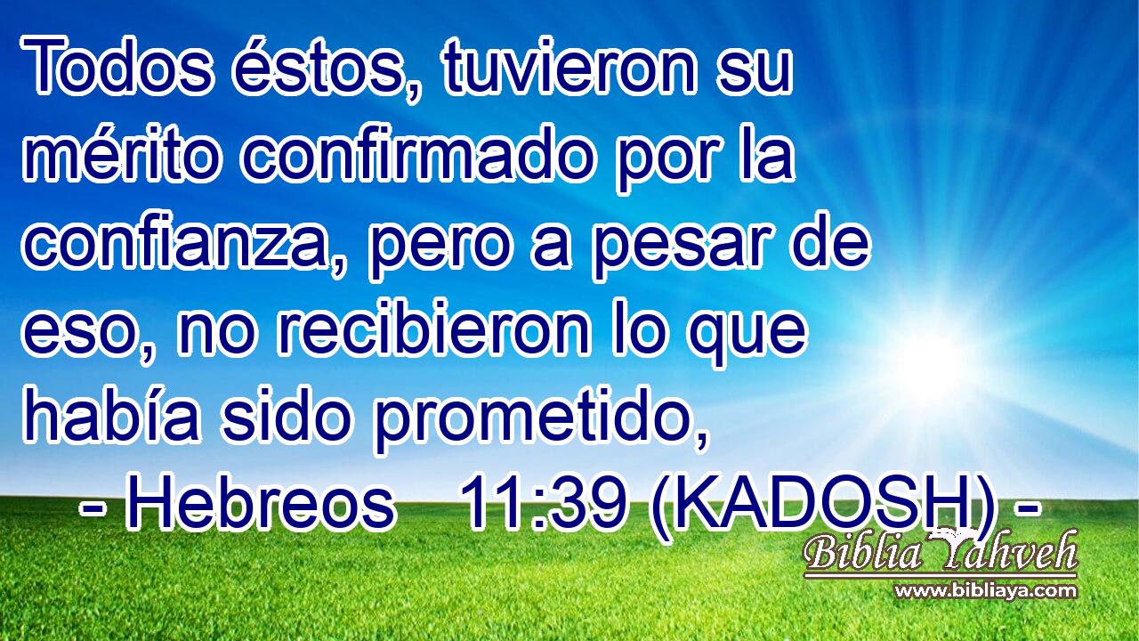  Todos éstos, tuvieron su mérito confirmado por la confianza, pero a pesar de eso, no recibieron lo que había sido prometido, 